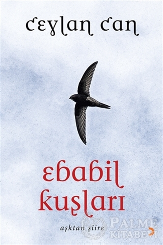 resm Ebabil Kuşları