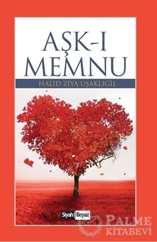 resm Aşk-ı Memnu