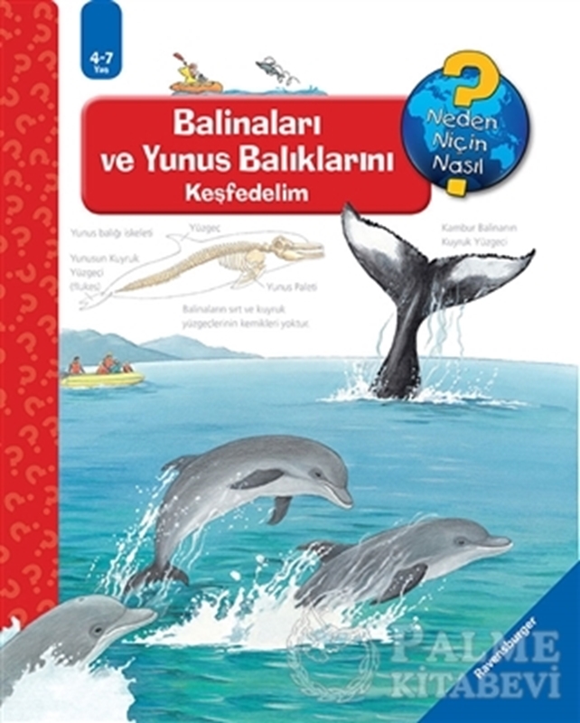 resm Ravensburger Maksi - Balinaları ve Yunus Balıklarını Keşfedelim