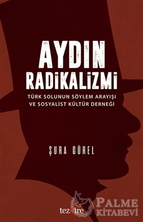 Resim Aydın Radikalizmi