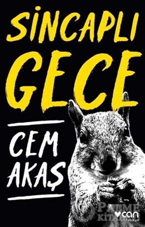 Resim Sincaplı Gece