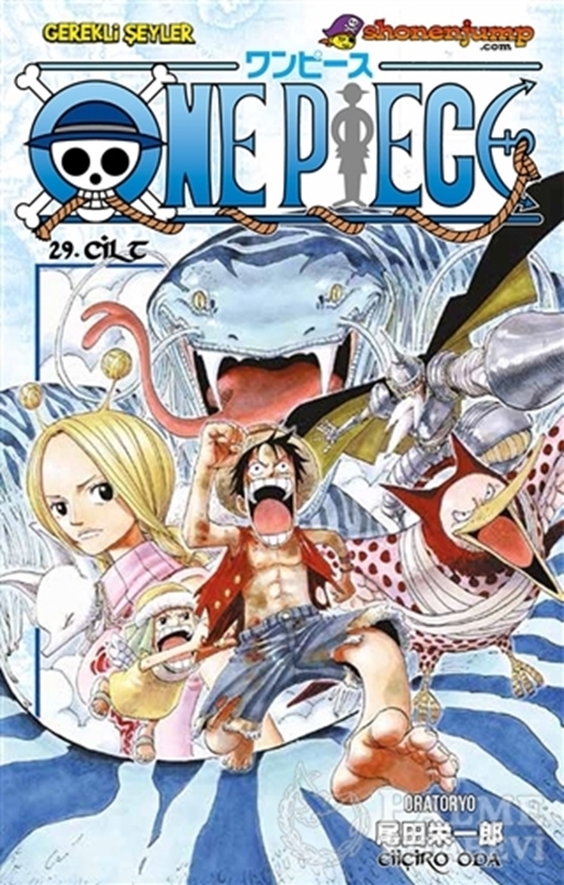 resm One Piece Cilt: 29