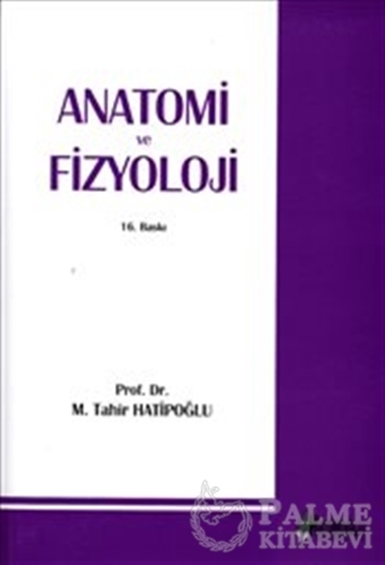 resm Anatomi Ve Fizyoloji