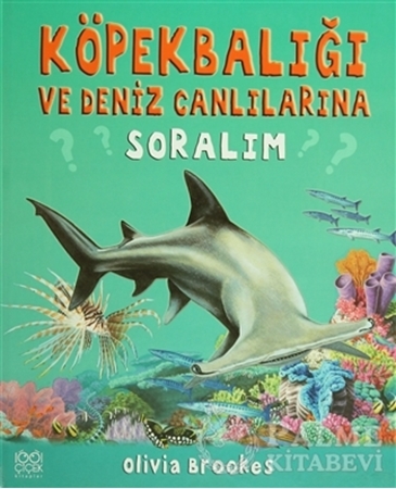 Resim Köpek Balığı ve Deniz Canlılarına Soralım
