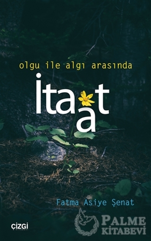 resm Olgu ile Algı Arasında İtaat