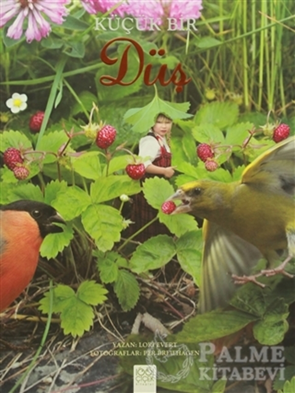 resm Küçük Bir Düş