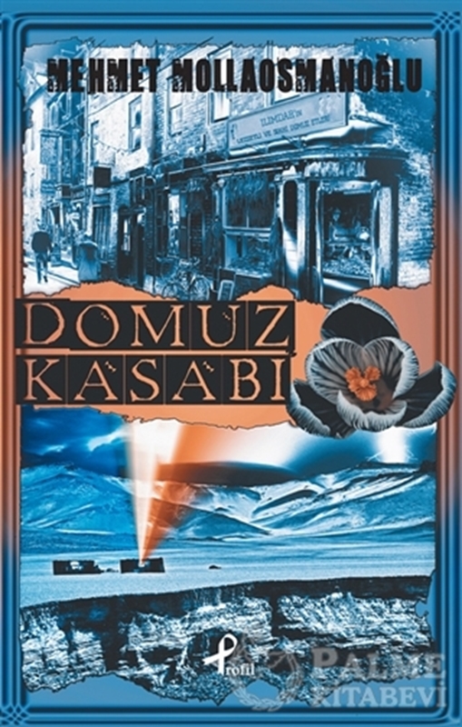 resm Domuz Kasabı