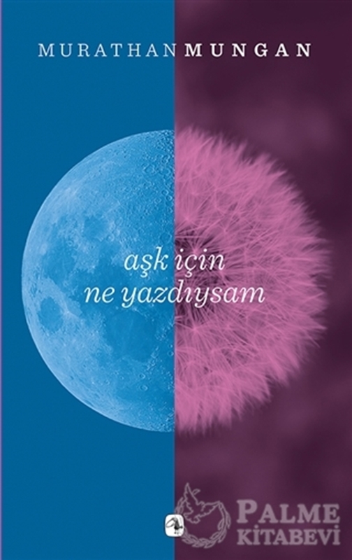 resm Aşk İçin Ne Yazdıysam