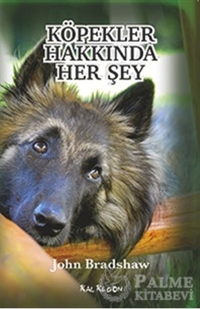 Resim Köpekler Hakkında Her Şey