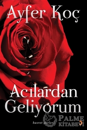 Resim Acılardan Geliyorum