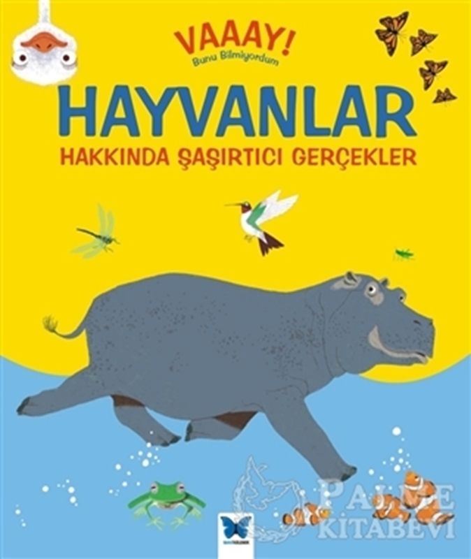 resm Hayvanlar Hakkında Şaşırtıcı Gerçekler