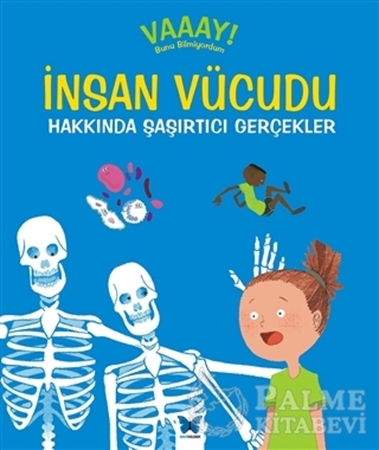 Resim İnsan Vücudu Hakkında Şaşırtıcı Gerçekler