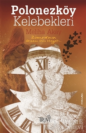 Resim Polonezköy Kelebekleri