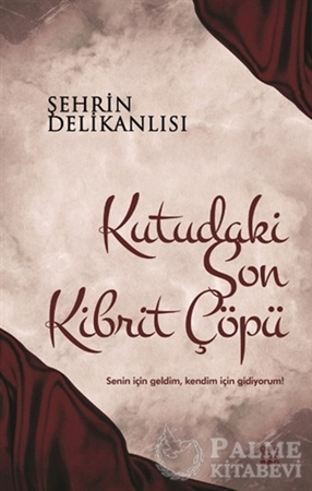 Resim Kutudaki Son Kibrit Çöpü