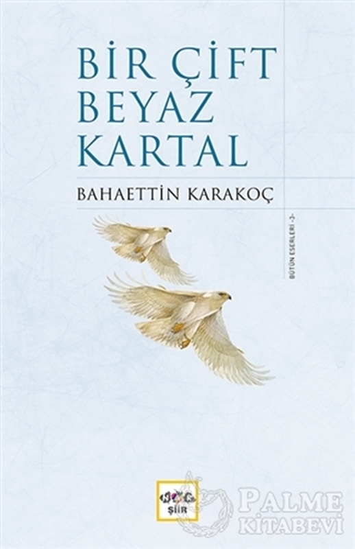 resm Bir Çift Beyaz Kartal