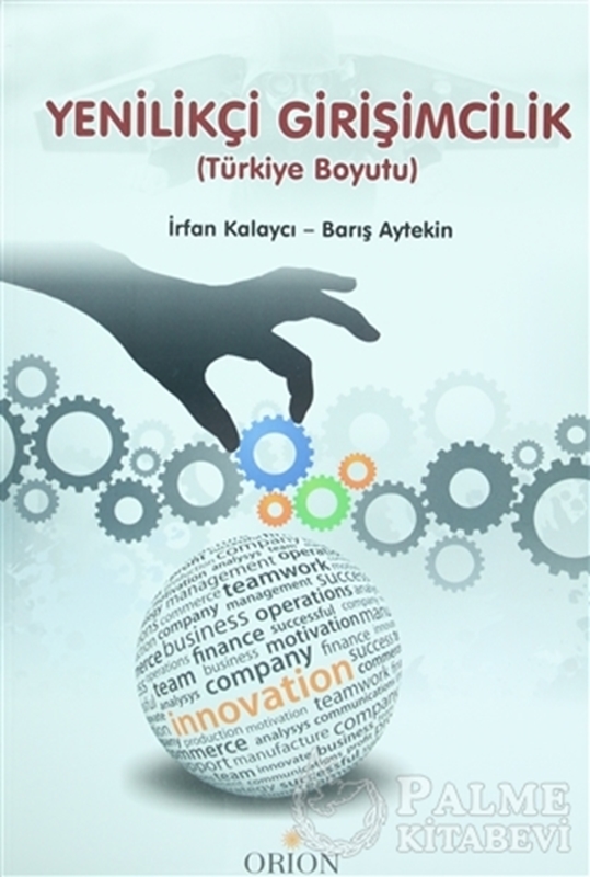resm Yenilikçi Girişimcilik (Türkiye Boyutu)