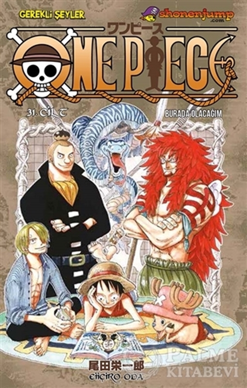 resm One Piece 31. Cilt