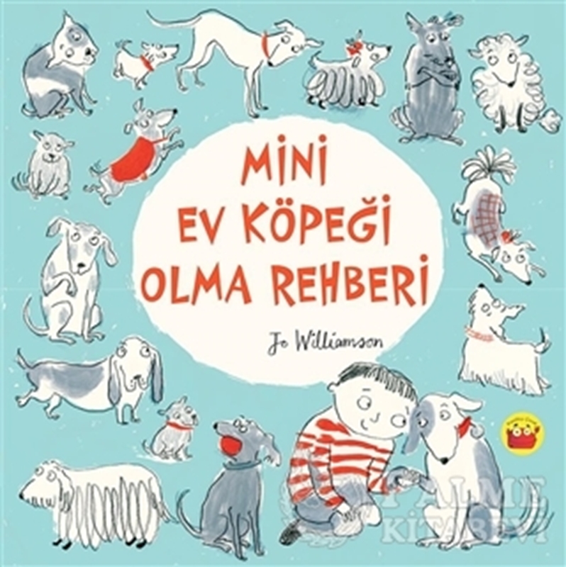 resm Mini Ev Köpeği Olma Rehberi