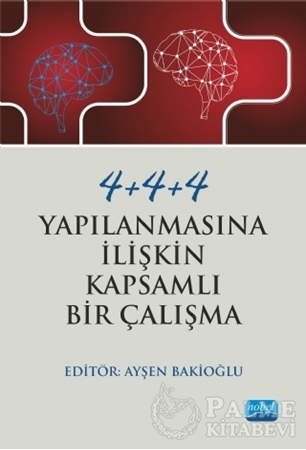 Resim 4+4+4 Yapılanmasına İlişkin Kapsamlı Bir Çalışma