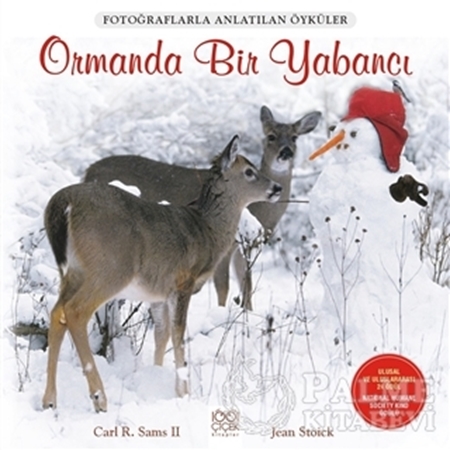 Resim Ormanda Bir Yabancı