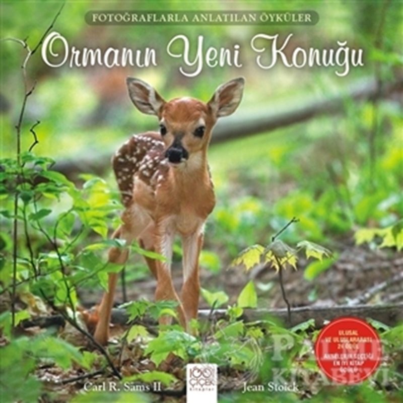 resm Ormanın Yeni Konuğu