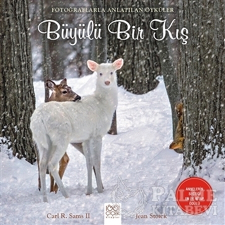 Resim Büyülü Bir Kış