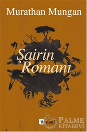 Resim Şairin Romanı