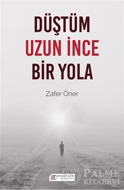 resm Düştüm Uzun İnce Bir Yola
