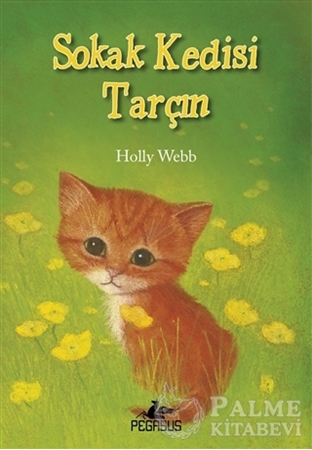 Resim Sokak Kedisi Tarçın