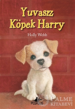 Resim Yuvasız Köpek Harry