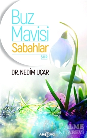 Resim Buz Mavisi Sabahlar