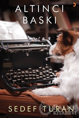 Resim Altıncı Baskı