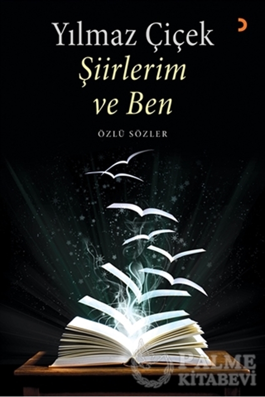 resm Şiirlerim ve Ben