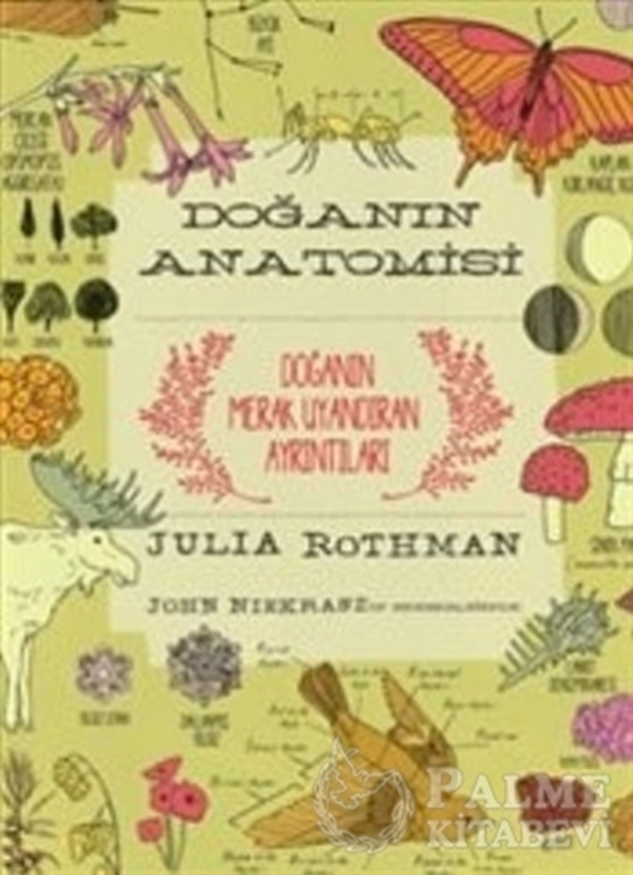 resm Doğanın Anatomisi