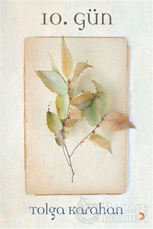 resm 10. Gün