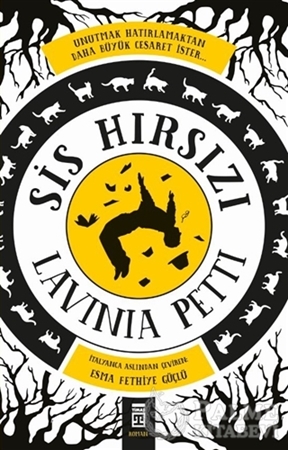 Resim Sis Hırsızı