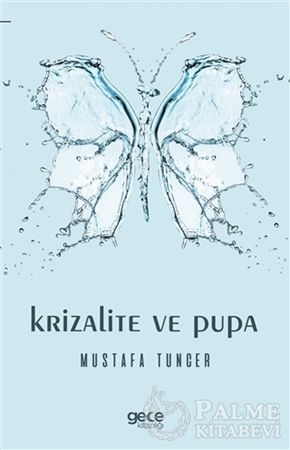 Resim Krizalite ve Pupa