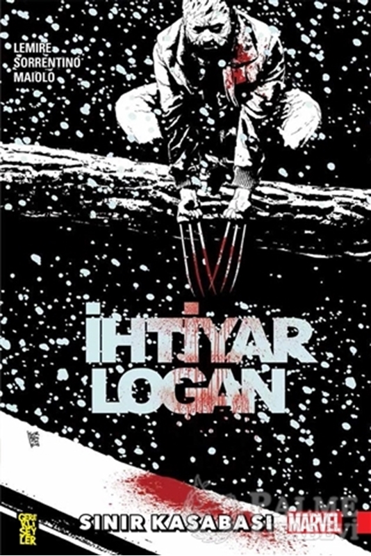 resm İhtiyar Logan 2