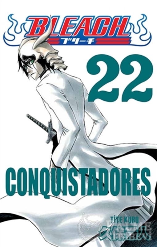 resm Bleach 22. Cilt