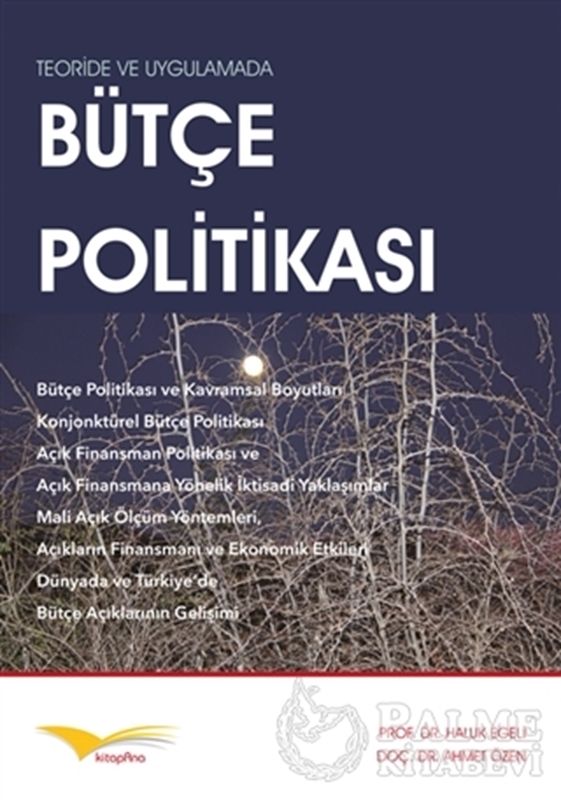 resm Teoride ve Uygulamada Bütçe Politikası