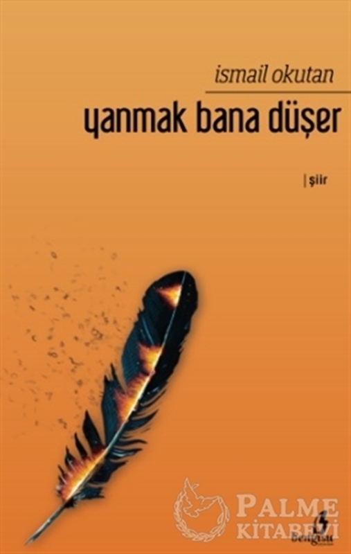 resm Yanmak Bana Düşer