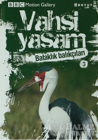 Resim Vahşi Yaşam 2 - Bataklık Balıkçıları