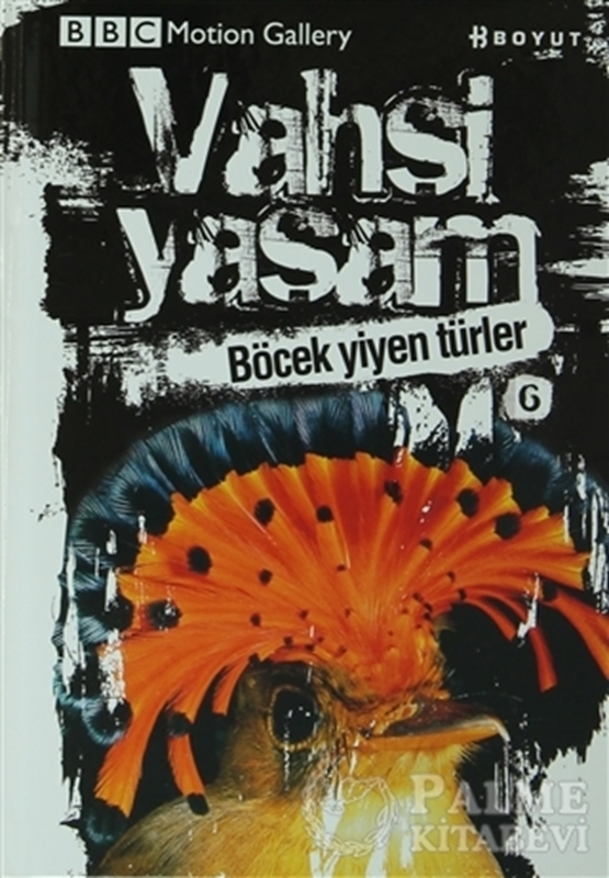 resm Vahşi Yaşam 2 - Böcek Yiyen Türler