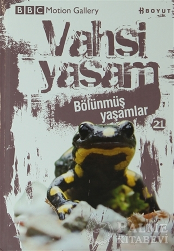 resm Vahşi Yaşam 2 - Bölünmüş Yaşamlar