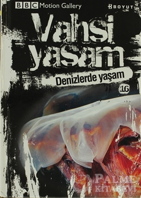 resm Vahşi Yaşam 2 - Denizlerde Yaşam