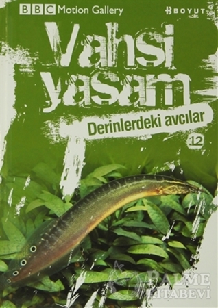 Resim Vahşi Yaşam 2 - Derinlerdeki Avcılar