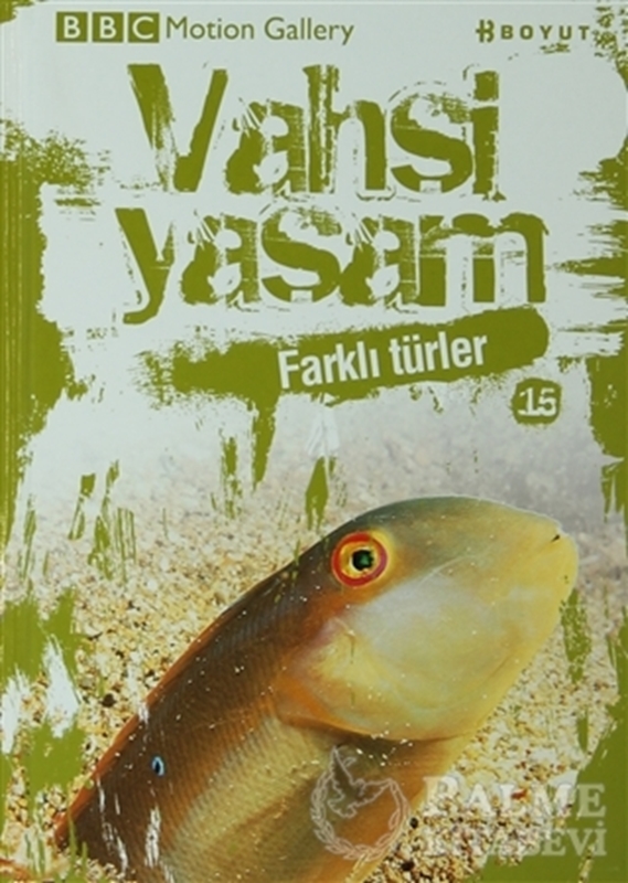 resm Vahşi Yaşam 2 - Farklı Türler