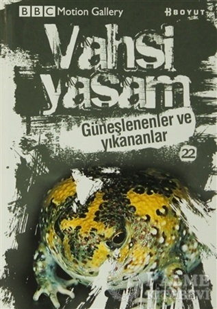 Resim Vahşi Yaşam 2 - Güneşlenenler ve Yıkananlar
