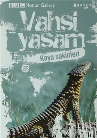 Resim Vahşi Yaşam 2 - Kaya Sakinleri