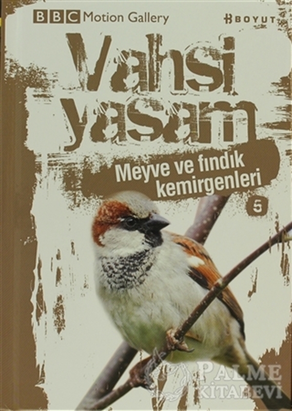 resm Vahşi Yaşam 2 - Meyve ve Fındık Kemirgenleri